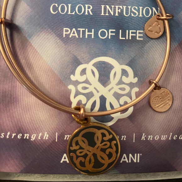 Alex and Ani path of life charm bracelet - Picture 1 of 1